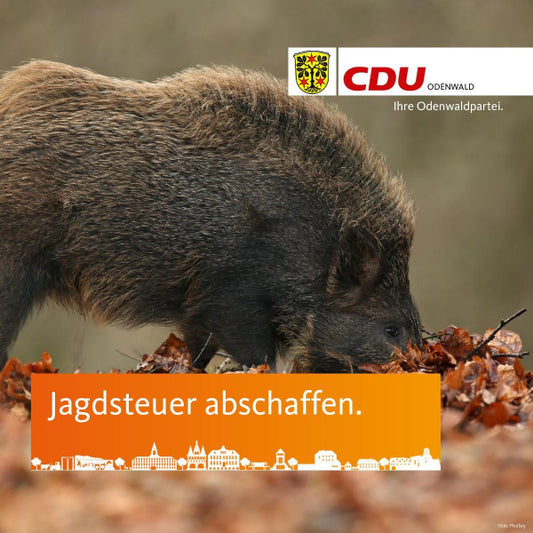 CDU Odenwald plädiert für Abschaffung der Jagdsteuer im Kreis